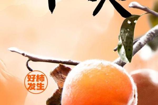 农历注定不平凡，这一天发生了什么？