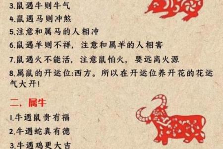 历年的生肖运势大解析，精准到每个细节