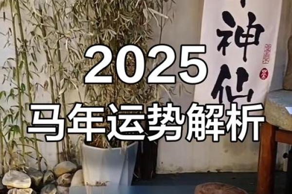 属马人命理解析与成功之道