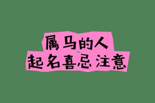 属马人命理解析与成功之道
