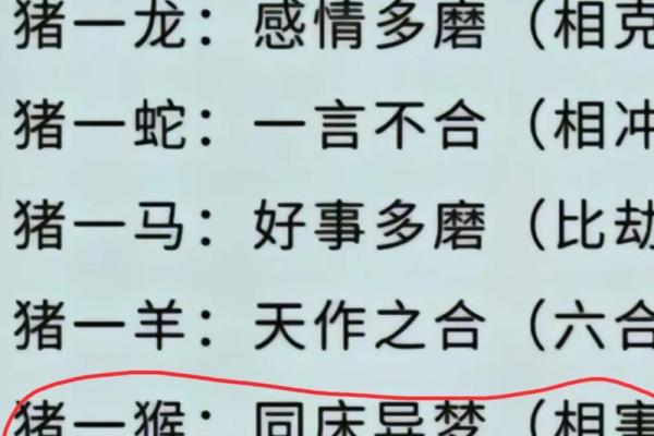 狗和猴的生肖配对解析