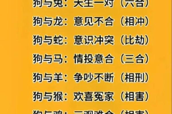 狗和猴的生肖配对解析