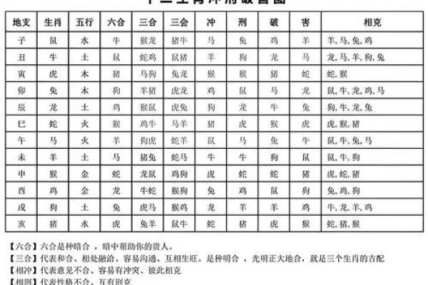 属兔与属龙的姻缘配对分析：相合还是相克？
