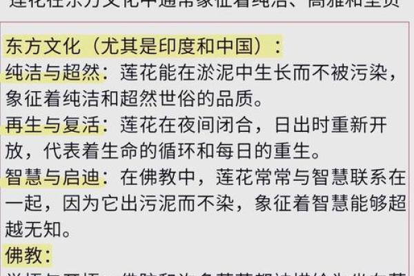 莲花名字的深刻象征与文化含义