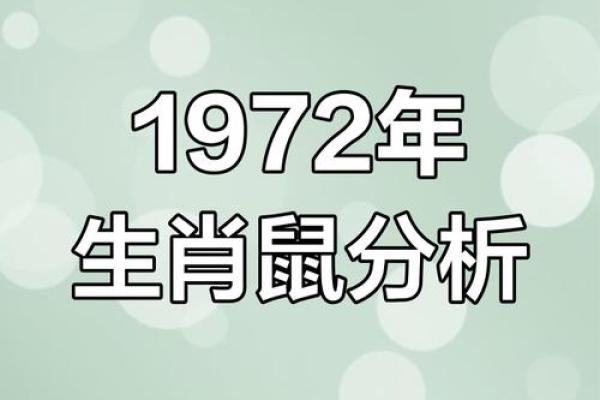 属什么命运解析与特点探讨