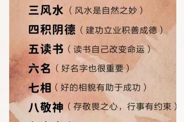属什么命运解析与特点探讨