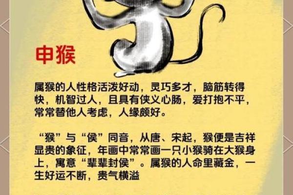 属什么生肖及命运特点分析