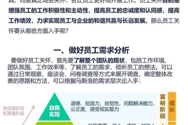 办公室风水调整如何优化员工思维效率