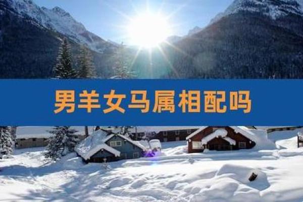 生肖配对：属马与属羊能否幸福长久