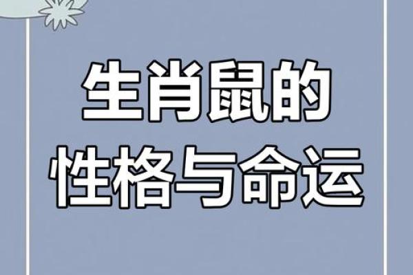 属鼠之人性格与命运走向