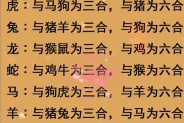 从生肖看老鼠与老虎的配对