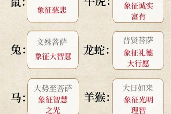 属相命运特点解析