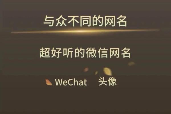 快手霸气名字大全，彰显不凡气场