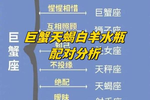 女马和男羊的星座配对分析：性格契合与挑战并存