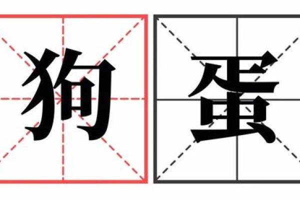 贱名字的背后：如何用独特名字吸引眼球