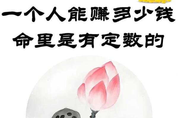 什么样的人命中注定是狐鸾命
