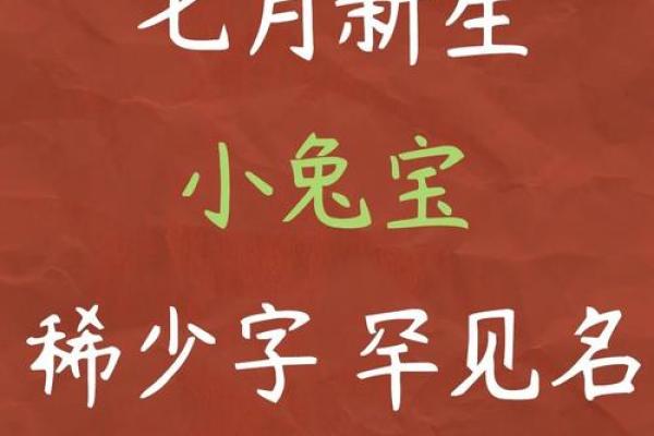 可爱小兔子的名字大全，帮你为小兔子取个独特的名字