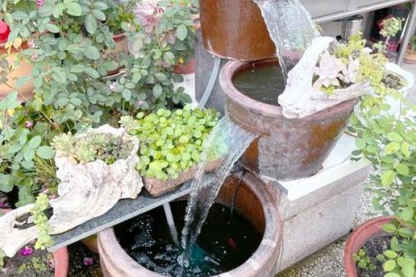 招财风水水缸摆放位置解析及禁忌