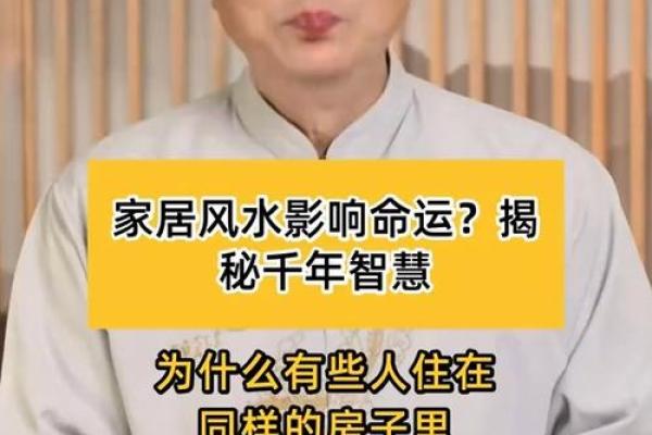 探索大有玄机家居风水背后的深层智慧