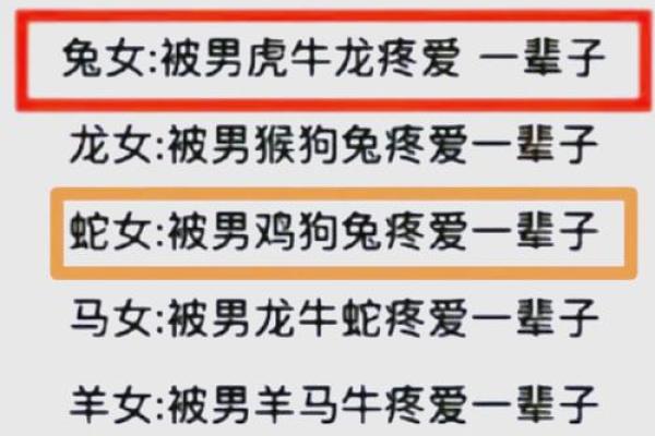 女兔与男鸡的婚姻能否长久？从生肖角度看两者契合度