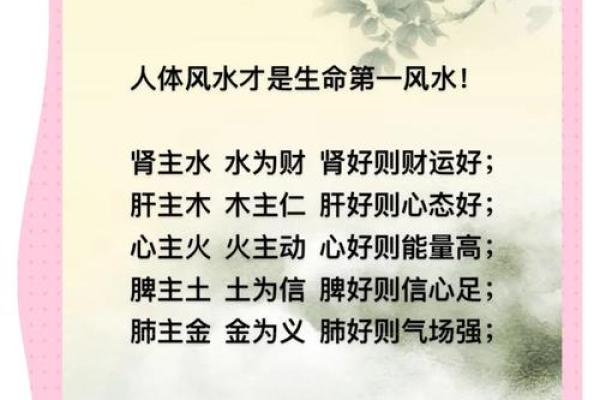 水命的命运与人生走向