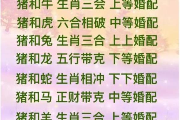 牛与猪的爱情能否长久？星座配对深度分析
