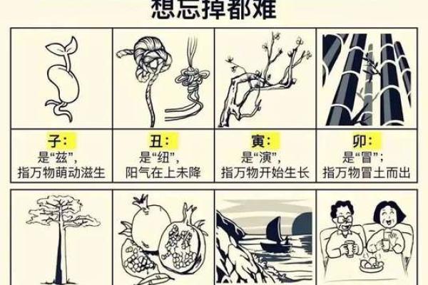 五行中的连，如何影响你的命运运势？