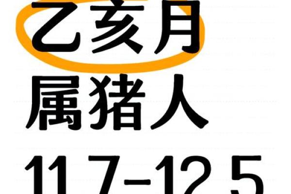 猪运势透视：生肖间的运程差异与应对策略