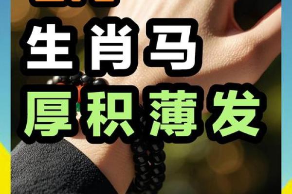 属马人在的事业运势解析