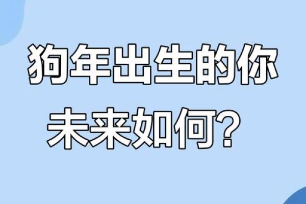 年运势揭秘：狗生肖的财运与健康运程