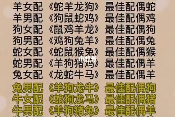 女兔男马的爱情配对如何解析