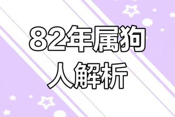 属狗人士的整体运势解析