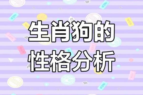 属狗人士的整体运势解析