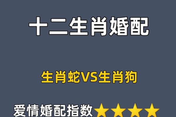 男狗女蛇配对的优势与挑战