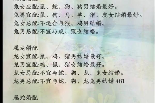 男狗女蛇配对的优势与挑战