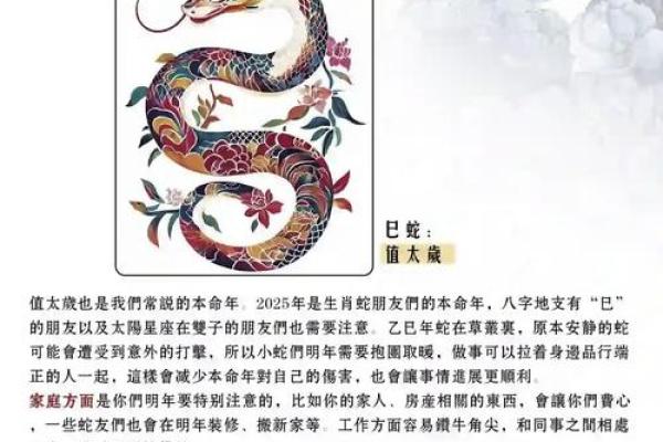 蛇猪配对：性格互补与挑战并存