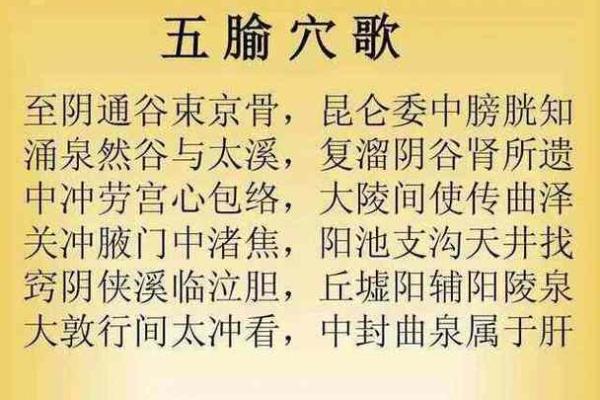音箱五行背后的秘密：了解不同音质的奥妙