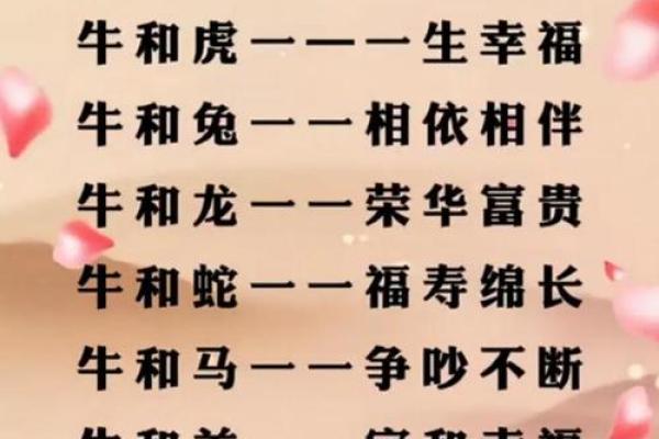 属牛与属龙的配对是否和谐？解析两者的婚配关系
