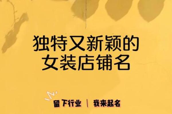 女装销售公司创意命名指南与灵感分享