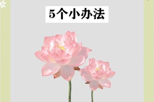 如何通过风水调整门店布局促进财运