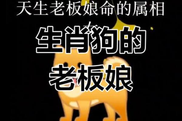 属狗女和属狗男的性格契合度如何