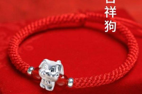 狗男本命年如何面对突发事件