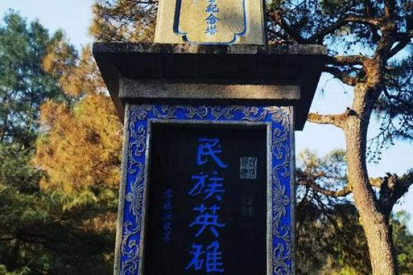 带军：一个名字背后的深刻寓意与象征