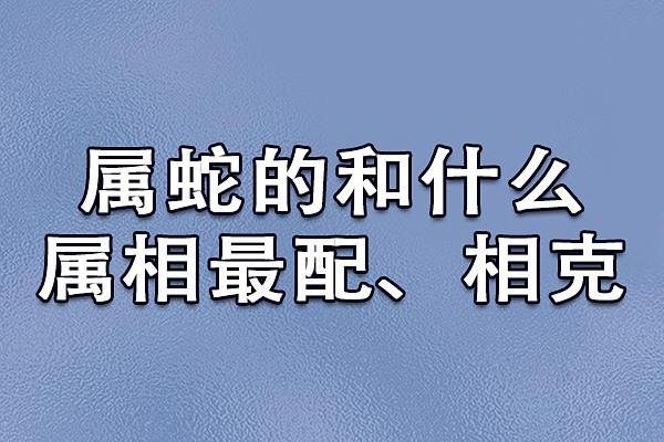 男蛇与女鸡的爱情是否长久？生肖配对详解