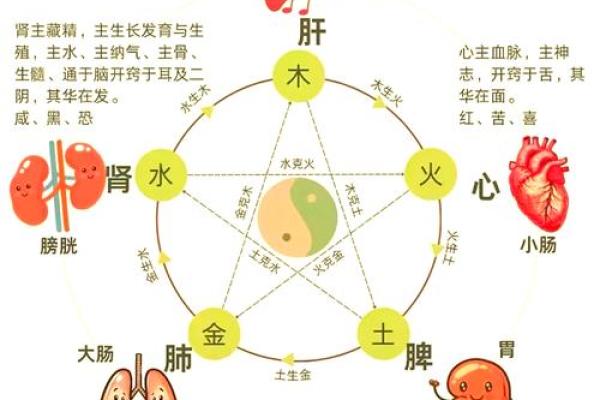活五行属什么？揭秘五行与个人命运的关系