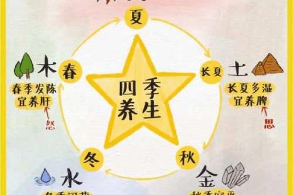 活五行属什么？揭秘五行与个人命运的关系