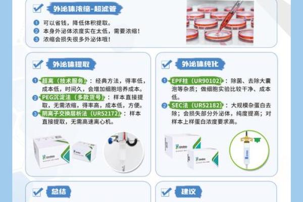 生物科技公司命名的关键要素与创新策略