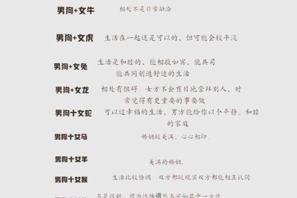龙与狗的相配度：解读性格与婚姻运