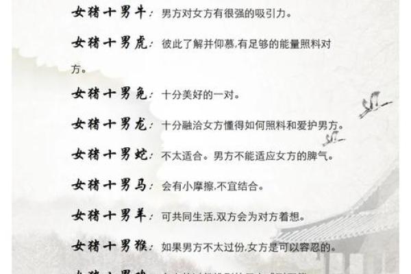猪与羊的配对是否有利于家庭和谐
