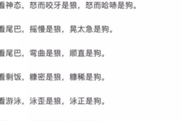 狼狗名字推荐：展现勇敢与忠诚的完美选择